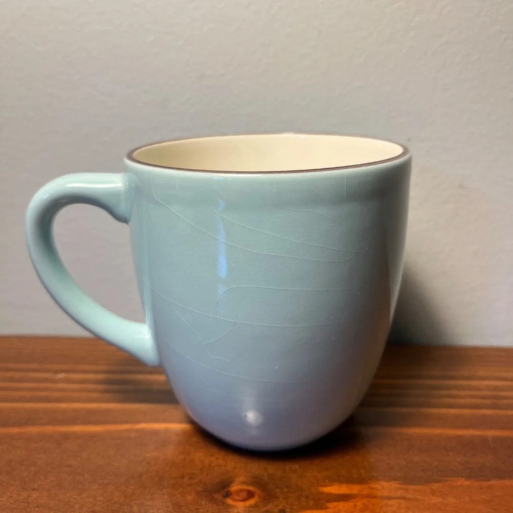 Crate & Barrel Audrey Coffee Mugs – Set of 4 (Robin’s Egg Blue)